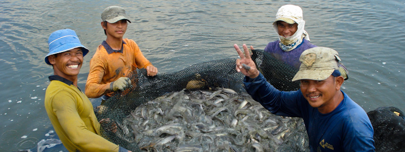 Education & Employment Alliance (EEA)_Image