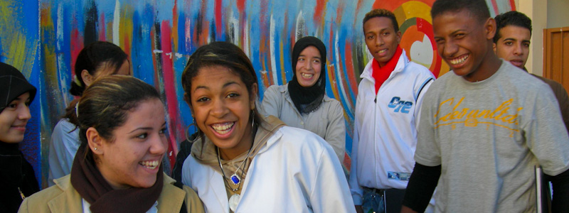 Emploi Habilité (2009-2020)_Image