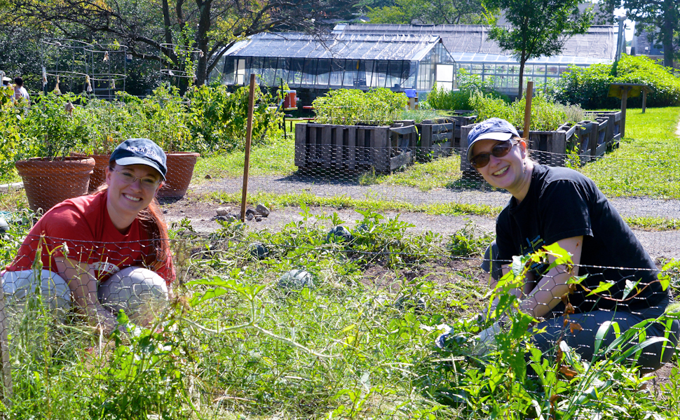 In the Dirt & On the Farm for Youth Day Hero Image
