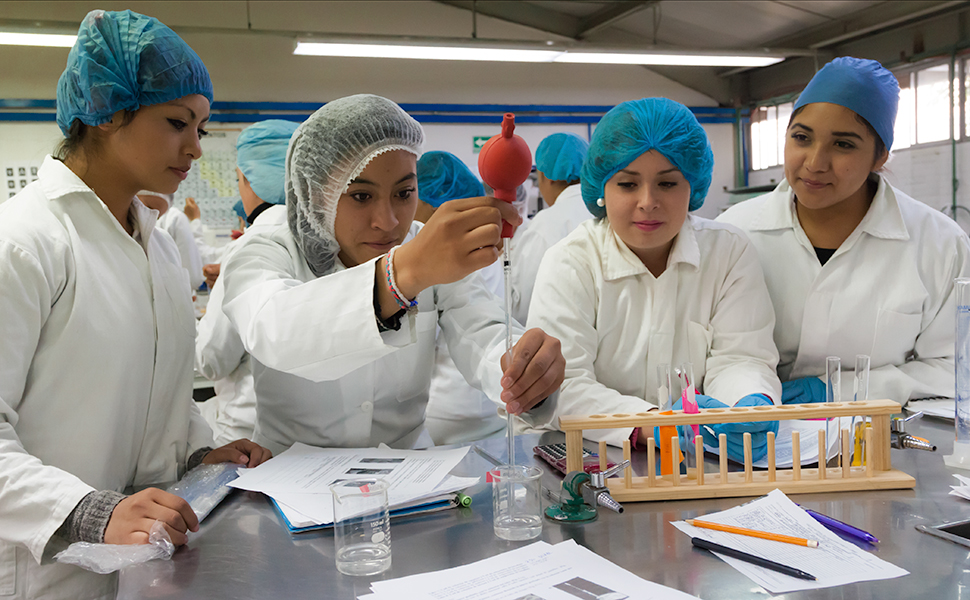 New S4YE Report Highlights Innovative Youth Employment Projects Hero Image