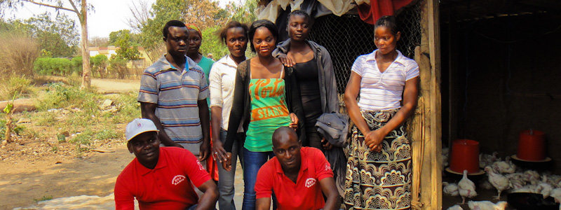 Preparação Laboral para Jovens (PREPA)_Image