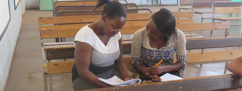 Pathways (2018-present)_Image