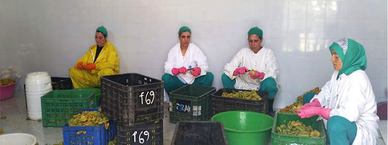 I:GROW (2016-2018)_Image