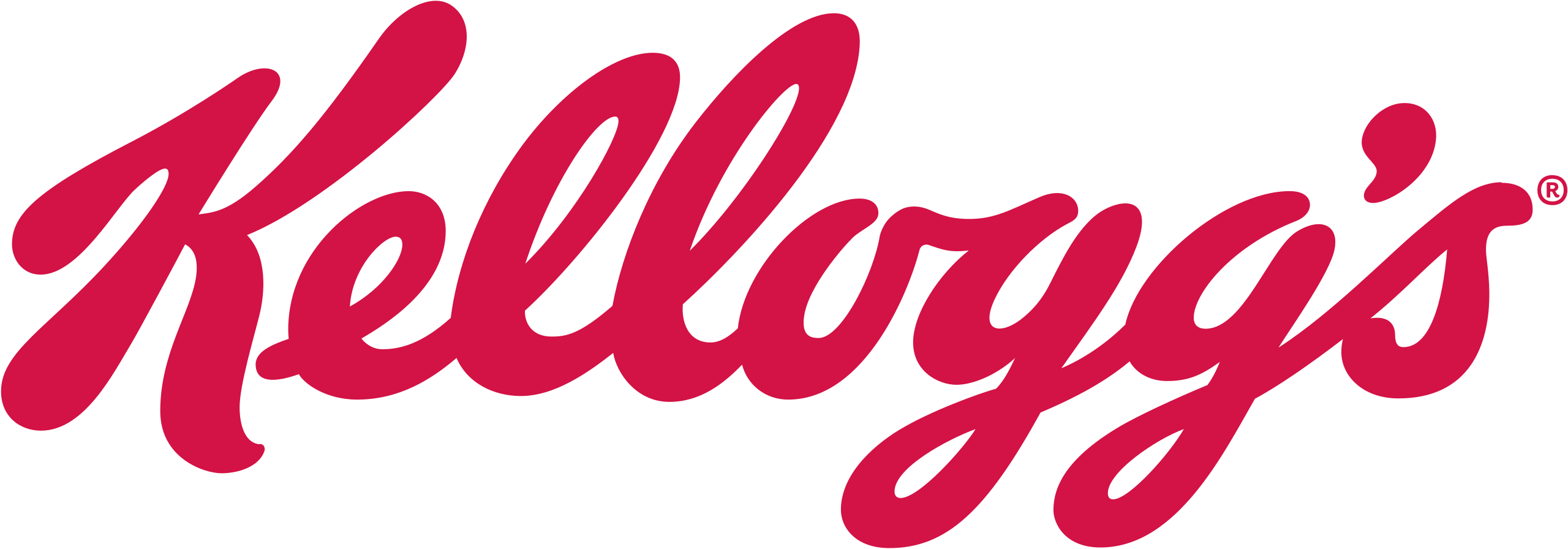 Kellogg Company Logo