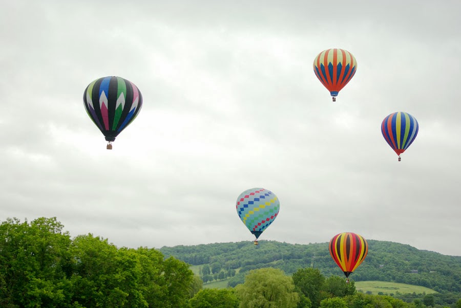 Opportunities & Events: November & Beyond Hero Image