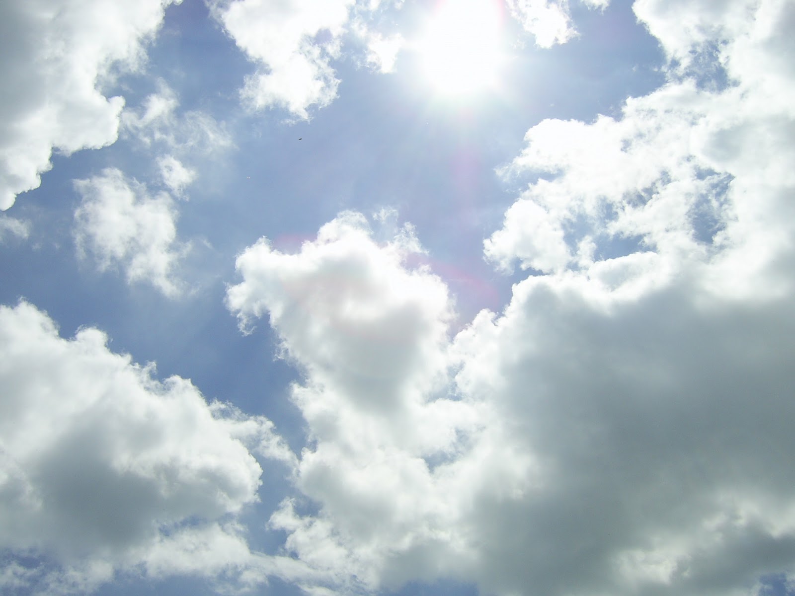 Opportunities & Events: June And Beyond Hero Image