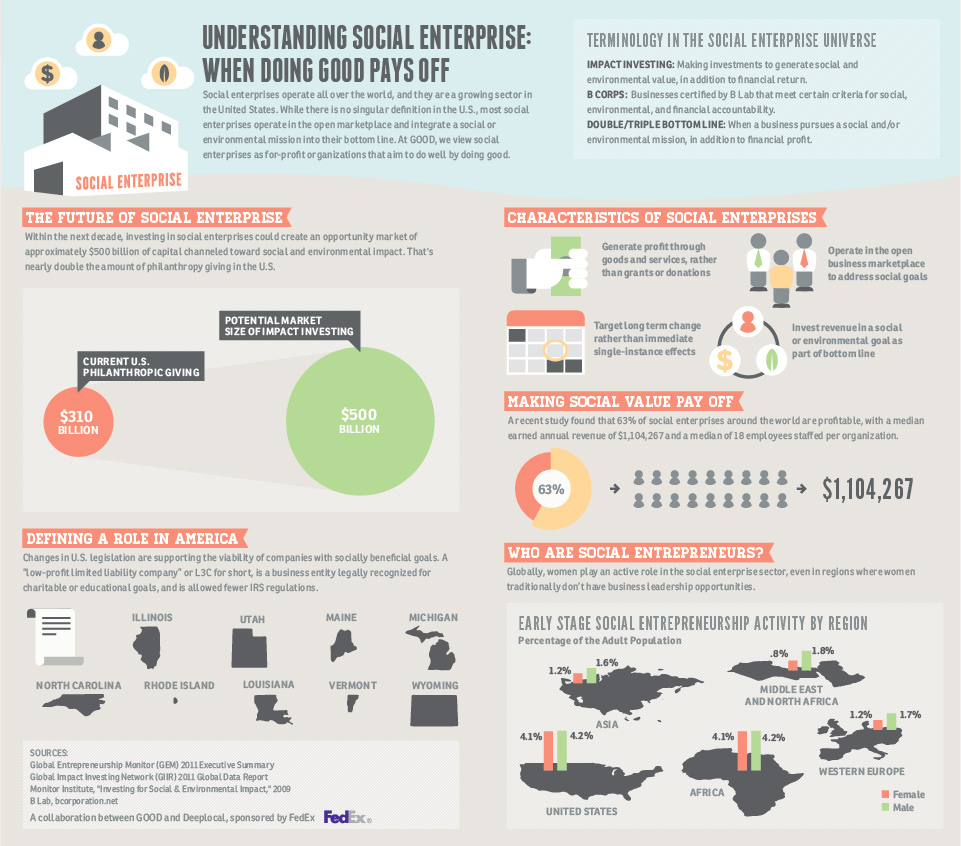 Social Enterprise Infographic Hero Image