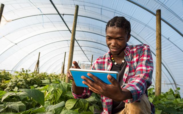 Advancing Youth-Inclusive Market Systems Hero Image