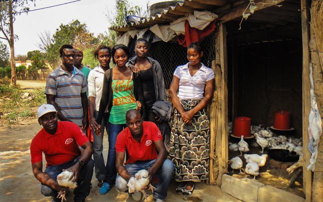 Using Mixed Livelihood Lessons for Better Programming Hero Image