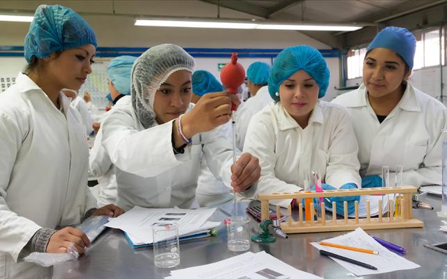 New S4YE Report Highlights Innovative Youth Employment Projects Hero Image