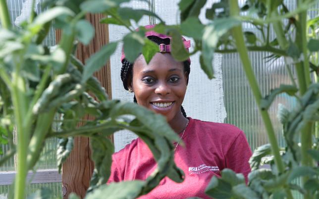 YALI Fellow: Youth's Right to Dream Big Hero Image