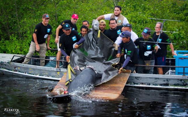 This Earth Day, COVID-19 Reminds Us That Wildlife Trafficking is a "Time Bomb" Hero Image