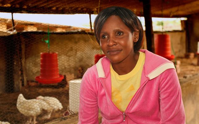 Telling a New Story of Zimbabwe’s Youth Hero Image