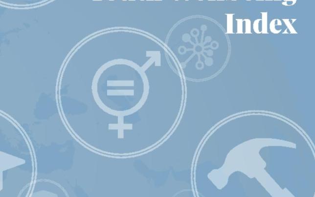 2017 Global Youth Wellbeing Index cover