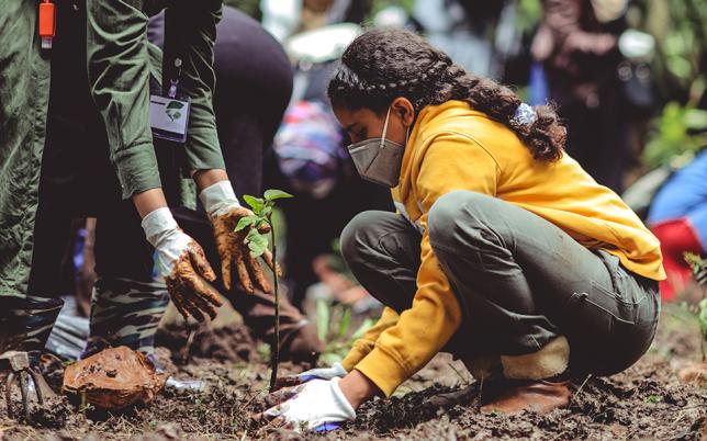 GYRF Awardees Announced: Here’s What Can Happen When We Support Youth-Led Impact Hero Image