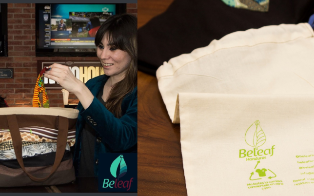 BeLeaf, Cinthya Andino's company