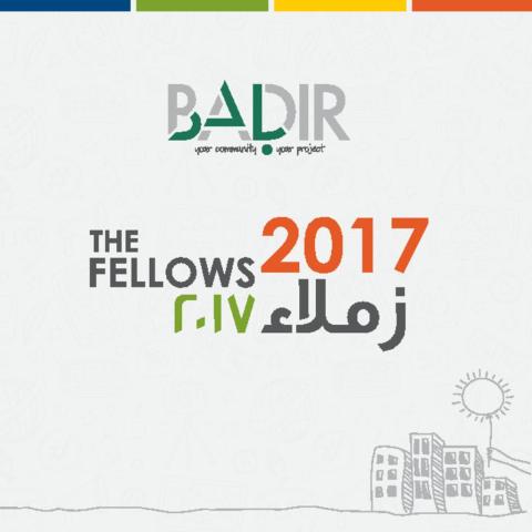 BADIR 2017 cover