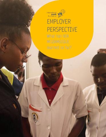 Employer Perspective: What Has Via Mozambique Learned So Far? cover
